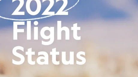 2022 Flight Status Report