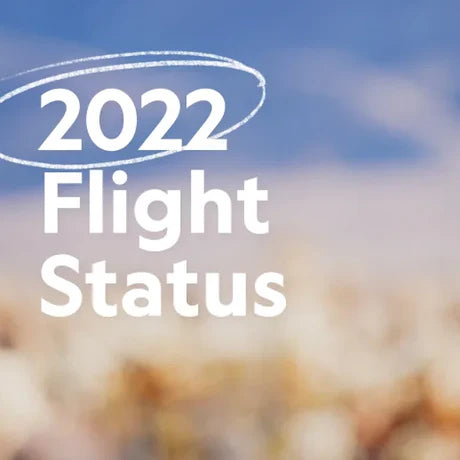 2022 Flight Status Report